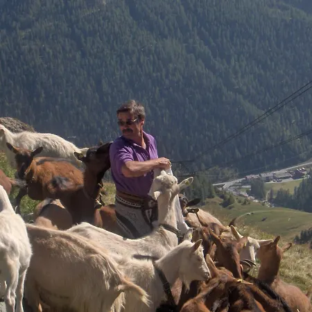 Chasa Val Bella Lejlighed *