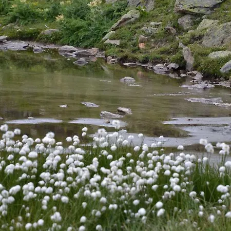 Lejlighed Chasa Val Bella Samnaun