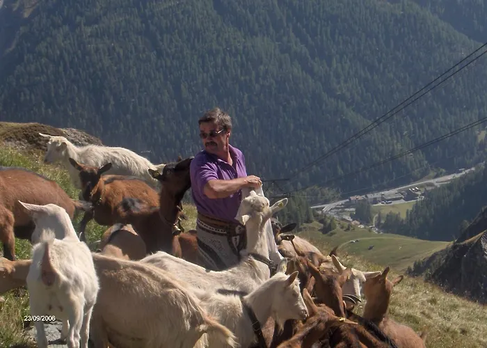 Chasa Val Bella Daire *