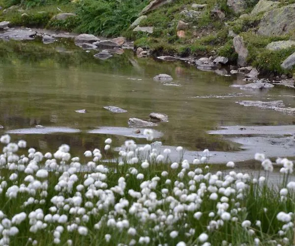 Daire Chasa Val Bella Samnaun