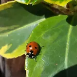 瓦尔贝拉狩猎公寓 * 萨姆瑙恩