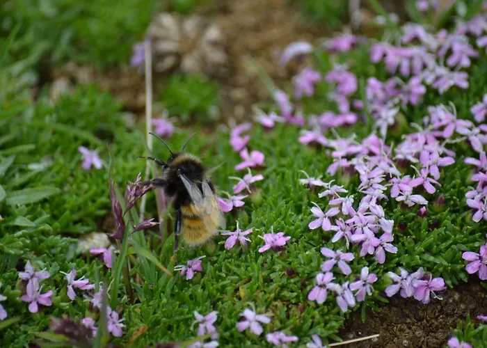 Chasa Val Bella Apartamento Samnaun